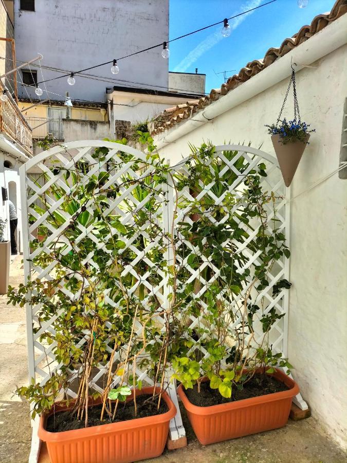 Bed and Breakfast Blue Moon Spinazzola Esterno foto